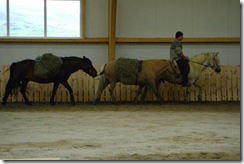 Icelandic horses as pack animals