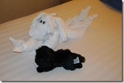 Newfie with Towel Animal 4