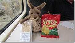 Roo's Lunch on the train