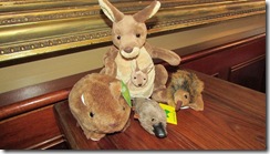 Roo and friends