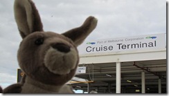 Roo at Melbourne Cruise Terminal