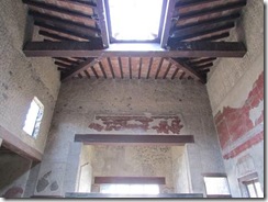 House with Wood Partition - atrium roof
